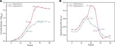 Transcriptomics of Lactobacillus paracasei: metabolism patterns and cellular responses under high-density culture conditions